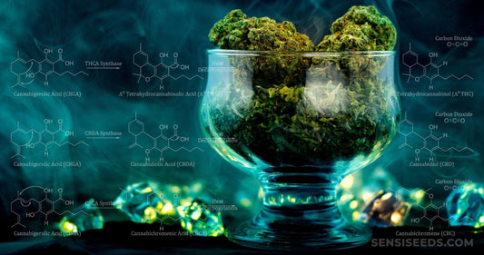 Cannabidoide