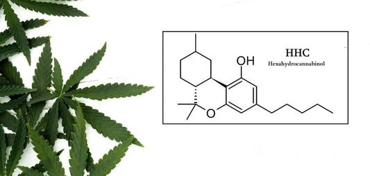 10-OH Cannabidoid