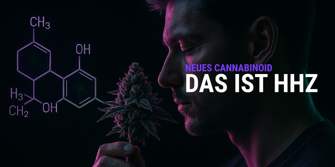 HHZ Cannabidoid