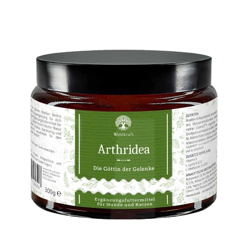 Arthridea – Die Göttin der Gelenke