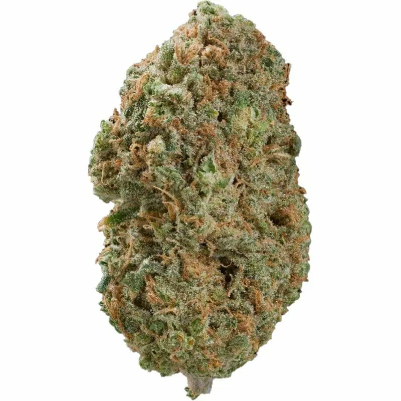 BIGMIKE HHZ Blüte 40%