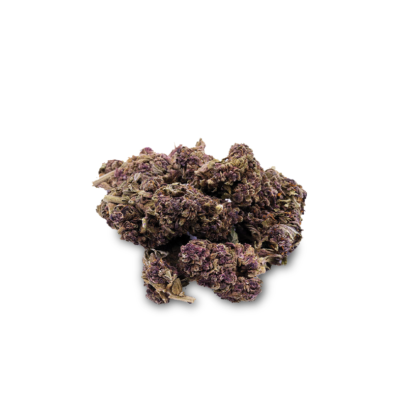 Purple Haze avibes CBD Blüte ~45%