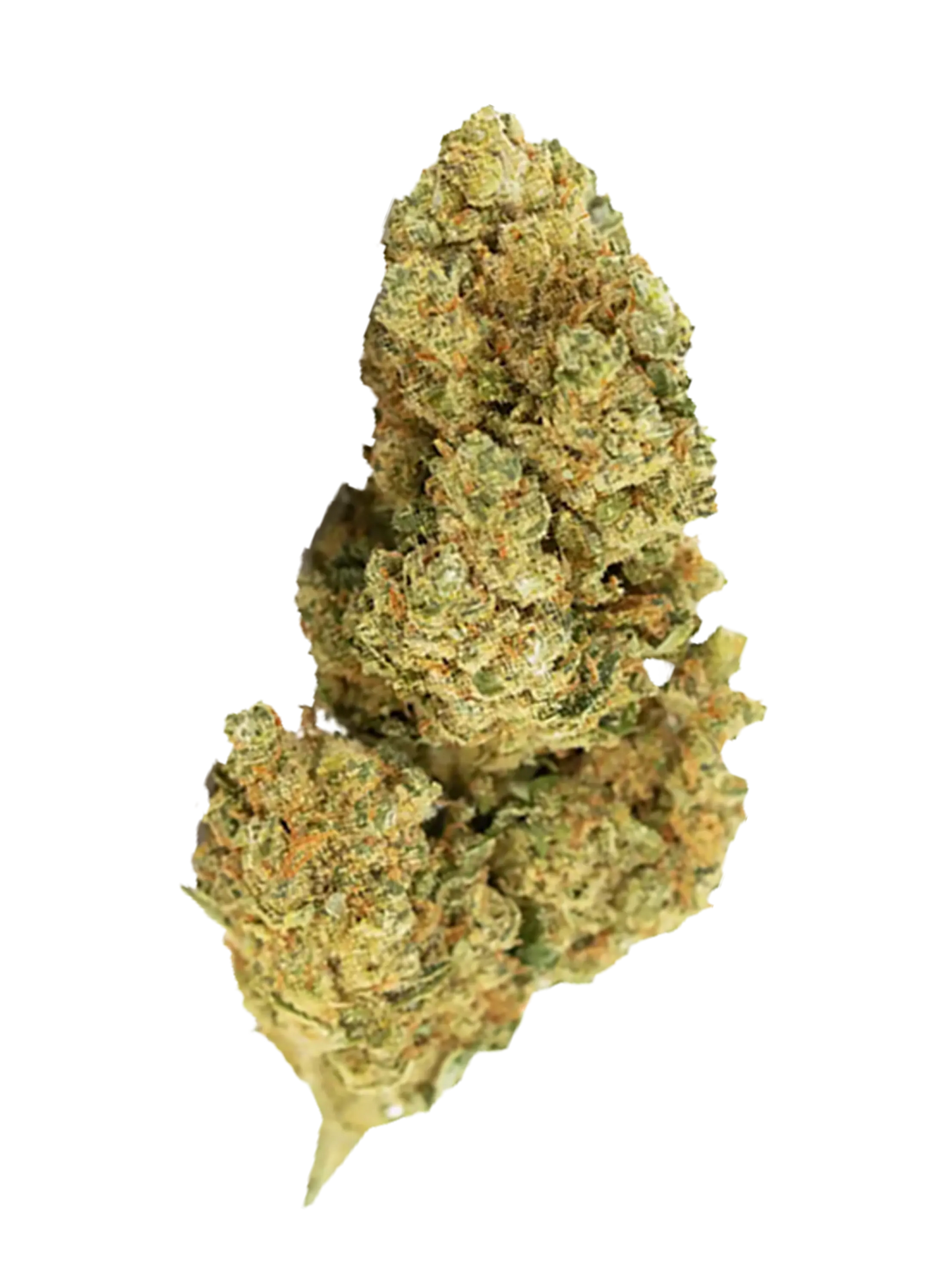 White Widow - 10-OH Premium Blüte