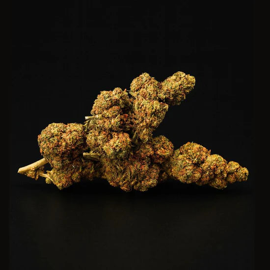 White Widow - H3 Blüte