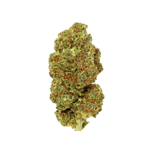 Blueberry - PHC Blüte 25%