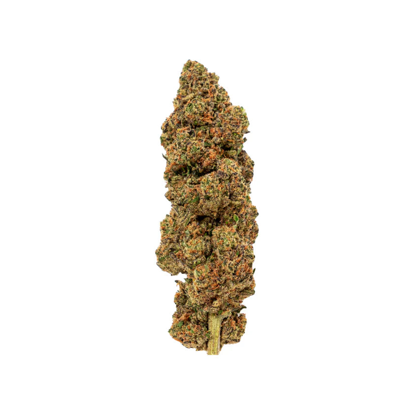 Lemon Haze - PHC Blüte 25%