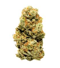 Skittlez 10-OH Premium Blüte