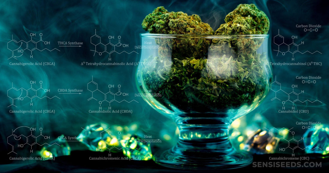 Cannabidoide