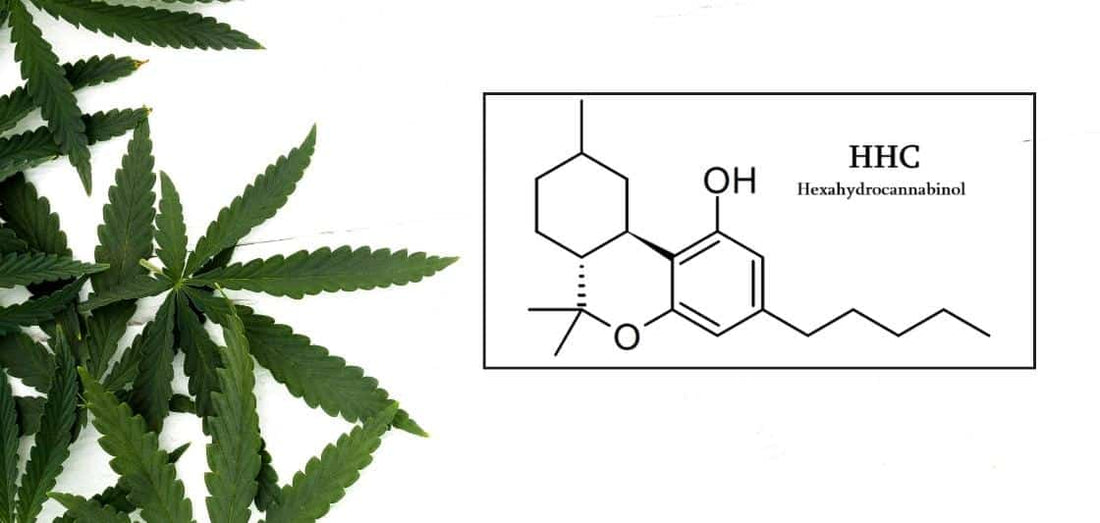 10-OH Cannabidoid