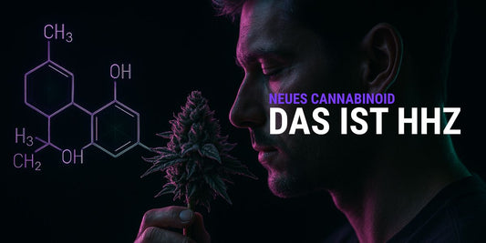 HHZ Cannabidoid