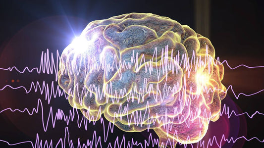 CBD Epilepsie