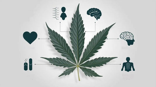 CBD bei Krankheiten