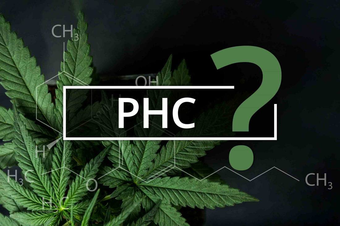 PHC Cannabidoid
