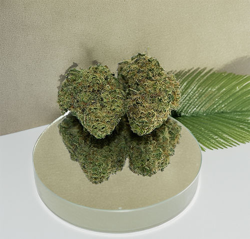 Royal Gorilla Premium Blüte 68% | 10-OH