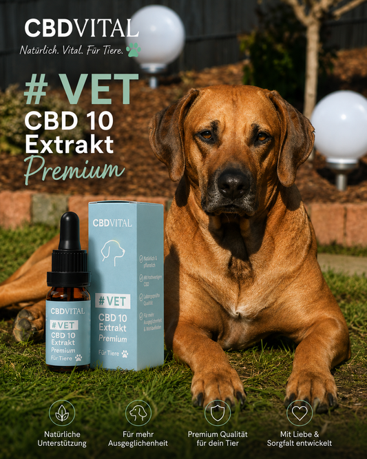 VET CBD 10 Extrakt Premium