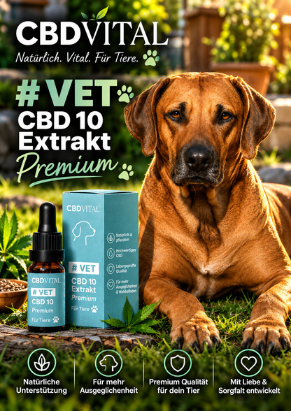 VET CBD 10 Extrakt Premium