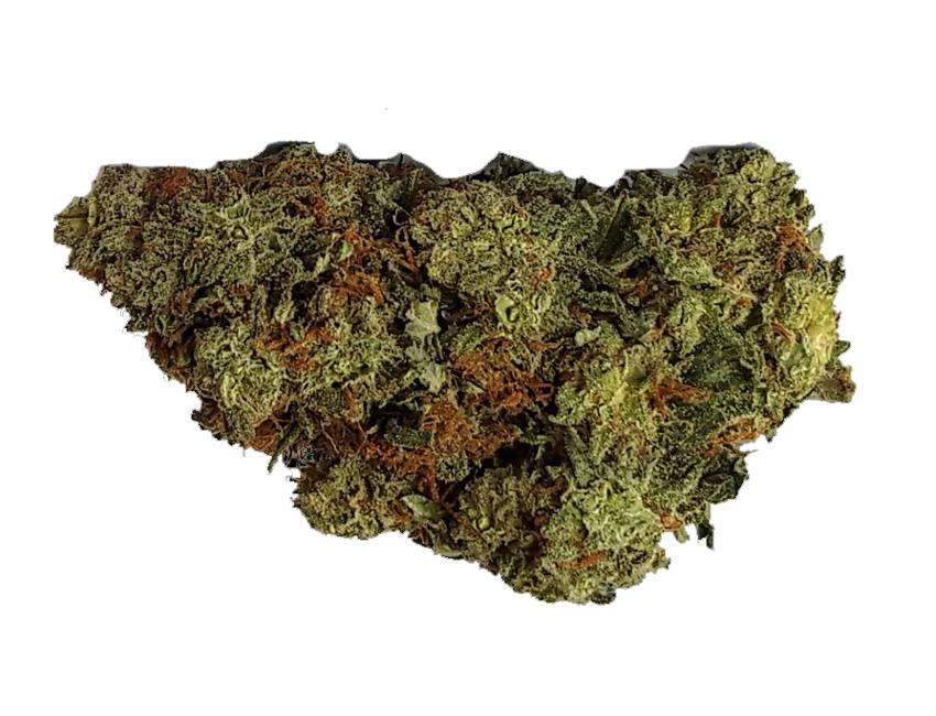 Amethys Haze - H3 Blüte
