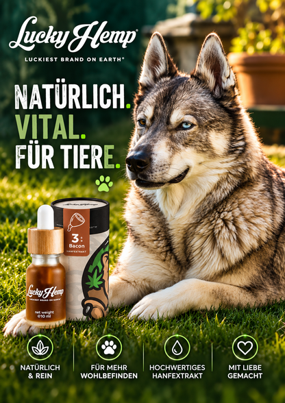 Bacon CBD-Öl für Hunde & Katzen
