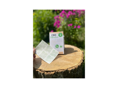 CBD Pflaster 12 Stück