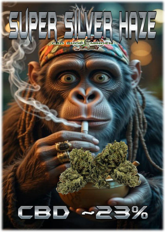 Super Silver Haze Aromablüte 23%