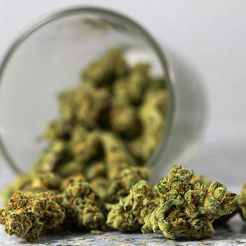 CBD Green Gelato Premium Blüte 40%