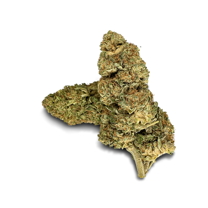 Lemon Gelato Aromablüte ~69%