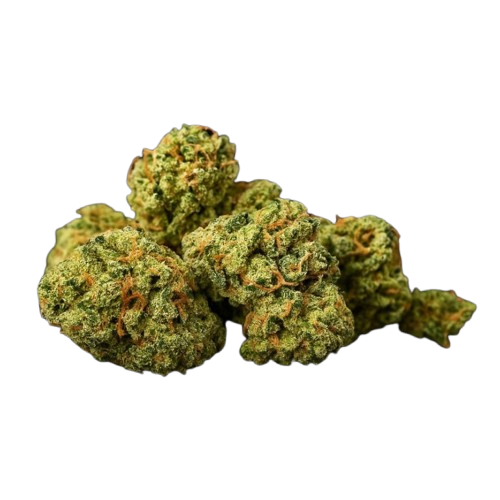 Pepe de Skunk - H3 Blüte