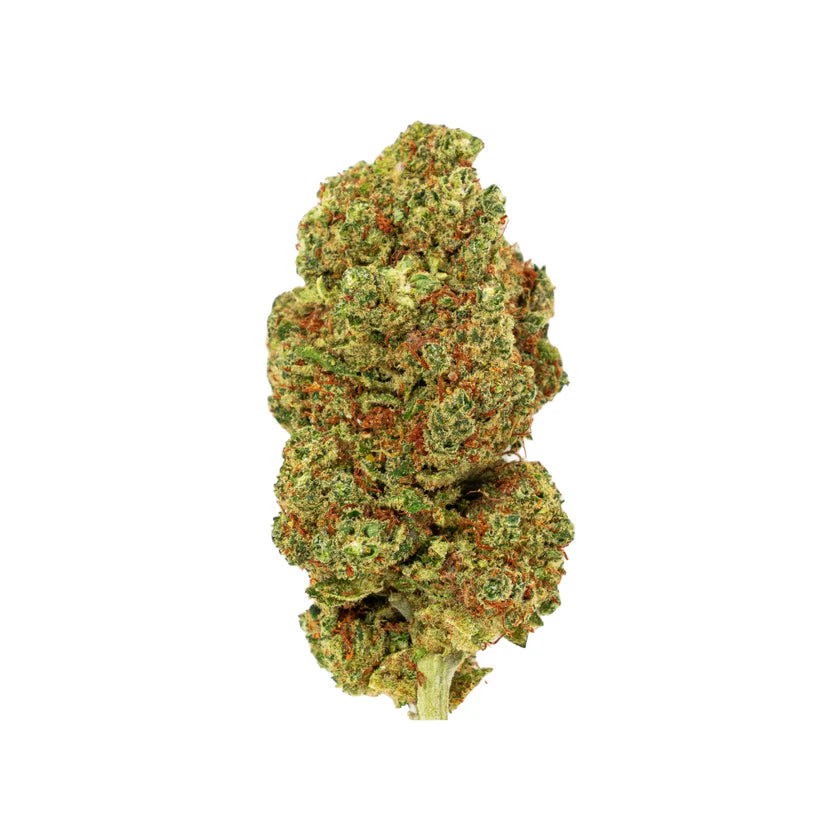 Pluto - PHC Blüte 25%