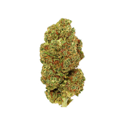Pluto - PHC Blüte 25%