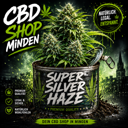 Super Silver Haze - Auto-Flowering Cannabis Samen | 3Samen