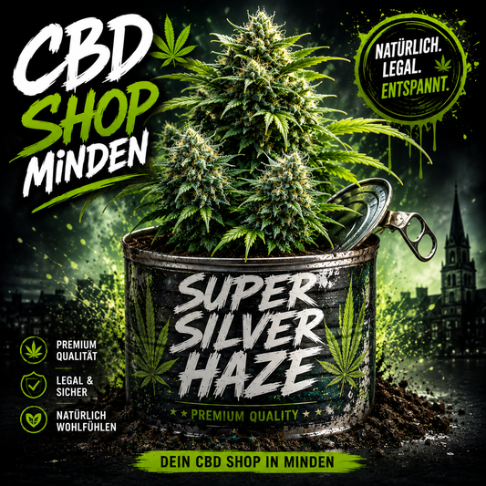 Super Silver Haze - Auto-Flowering Cannabis Samen | 3Samen
