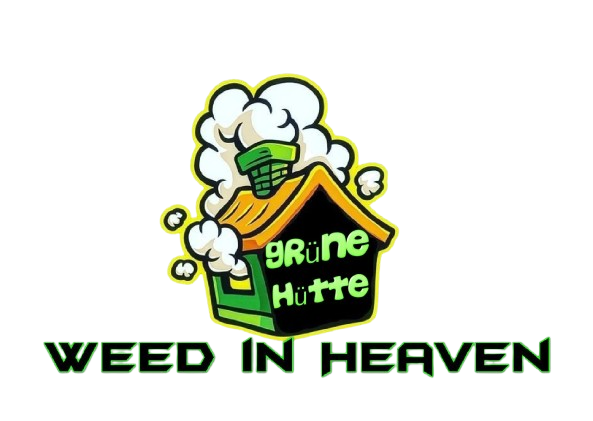 CBD Shop Minden