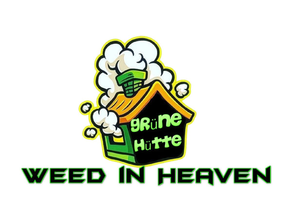 CBD Shop Minden