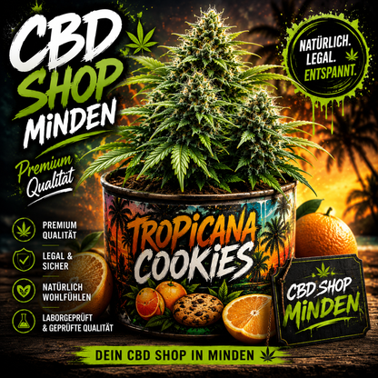 Tropicana Cookies - Fast-Flowering Cannabis Samen | 3Samen