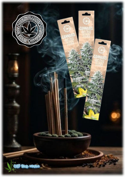 Cannabis-Räucherstäbchen, getrocknetes Cannabis & Vanille