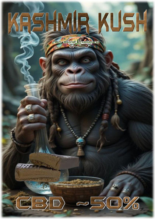 CBD Solid Hash Kashmir Kush 50% CBD