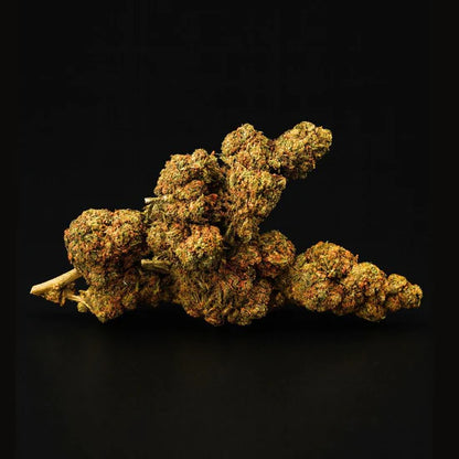 White Widow - H3 Blüte