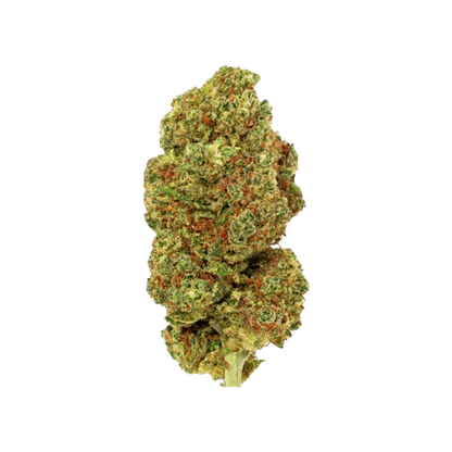 Blueberry - PHC Blüte 25%