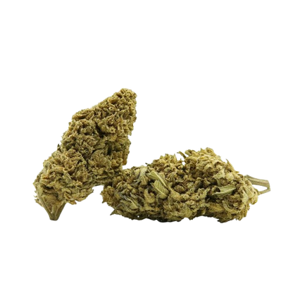 Nothern Lights Aromablüte 18%