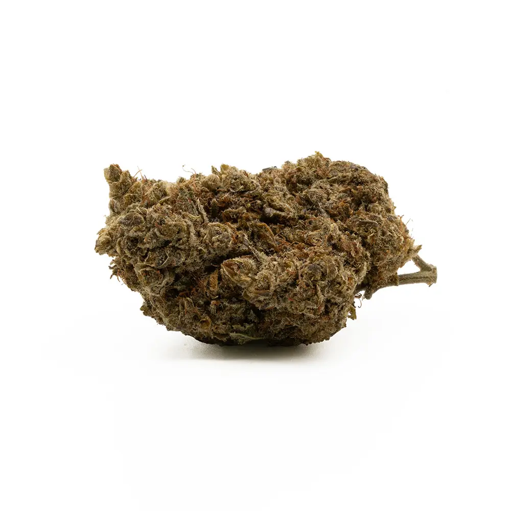 Nothern Lights 10-OH Premium Blüte