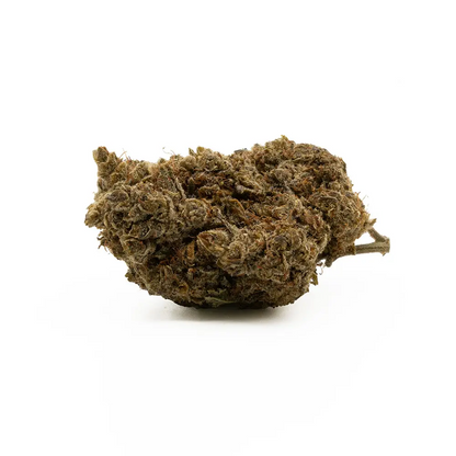 Nothern Lights 10-OH Premium Blüte